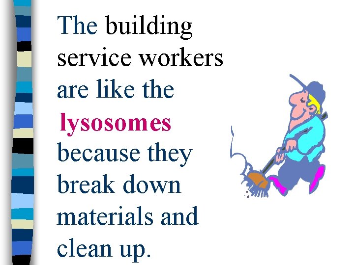 The building service workers are like the lysosomes because they break down materials and