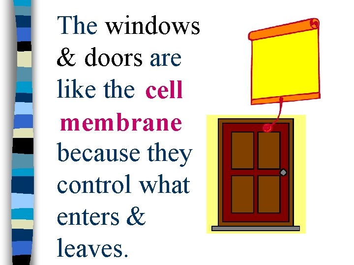 The windows & doors are like the cell membrane because they control what enters