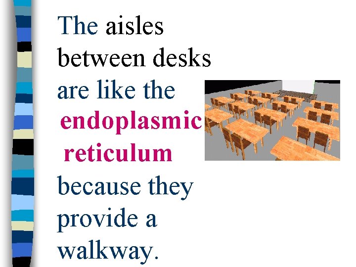 The aisles between desks are like the endoplasmic reticulum because they provide a walkway.