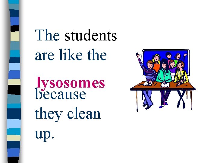 The students are like the lysosomes because they clean up. 