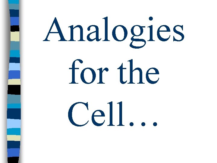 Analogies for the Cell… 