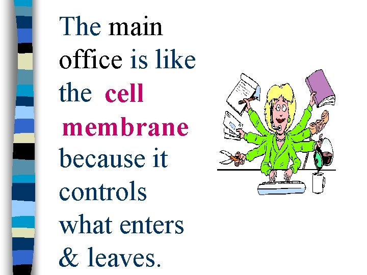 The main office is like the cell membrane because it controls what enters &