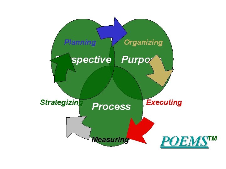 Planning Organizing Perspective Purpose Strategizing Process Measuring Executing P OE MS TM 