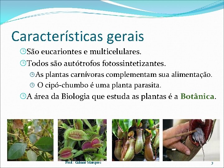 Características gerais São eucariontes e multicelulares. Todos são autótrofos fotossintetizantes. As plantas carnívoras complementam