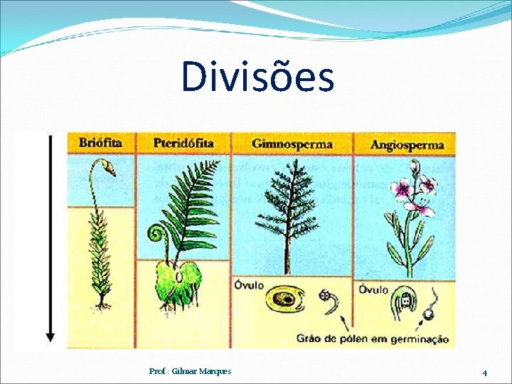 Divisões Prof. : Gilmar Marques 4 