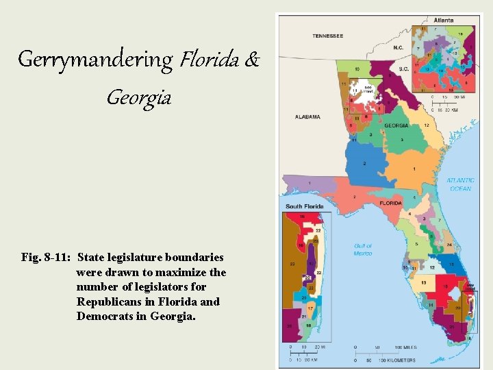 Gerrymandering Florida & Georgia Fig. 8 -11: State legislature boundaries were drawn to maximize