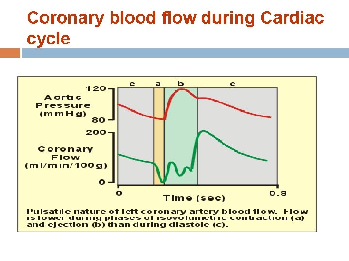 Coronary blood flow during Cardiac cycle 