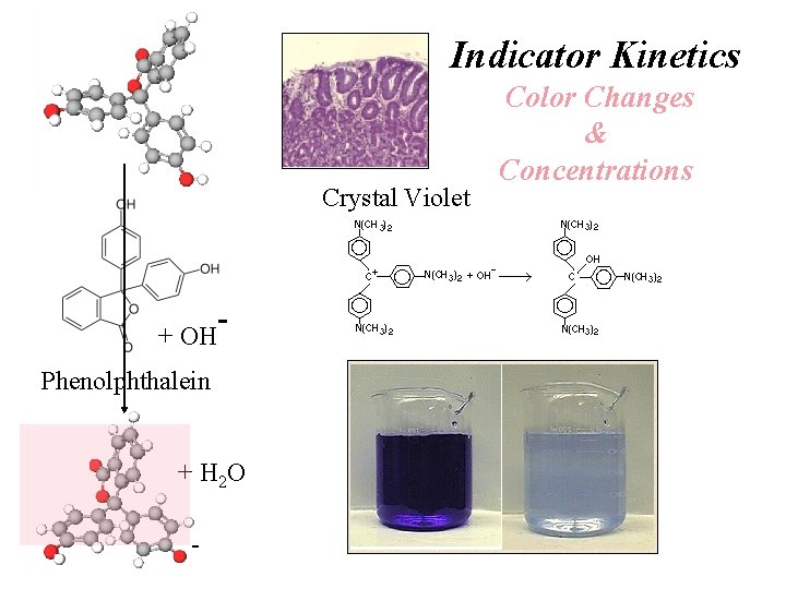 Indicator Kinetics Crystal Violet + OH Phenolphthalein + H 2 O - Color Changes