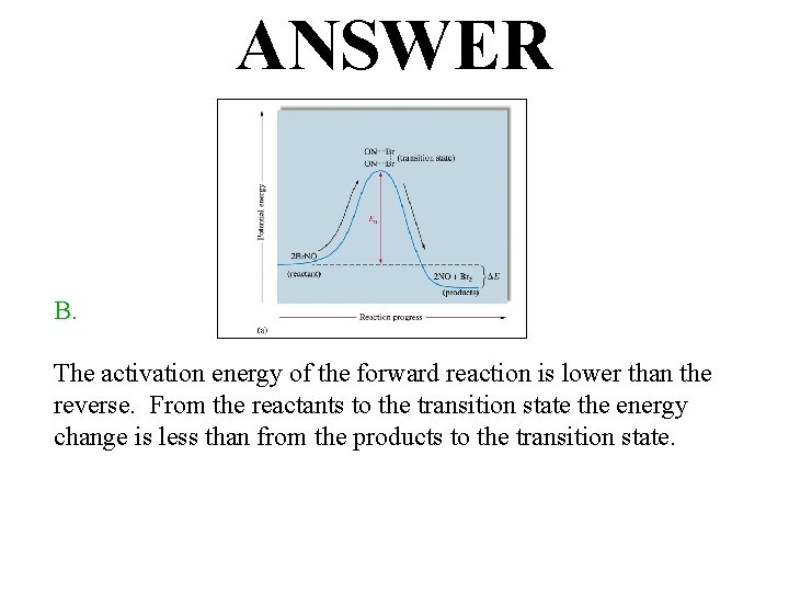 ANSWER B. The activation energy of the forward reaction is lower than the reverse.