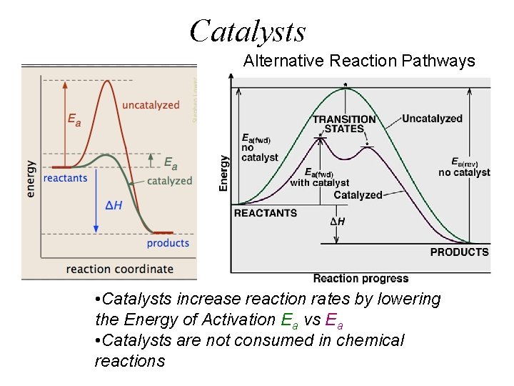 Catalysts Alternative Reaction Pathways • Catalysts increase reaction rates by lowering the Energy of