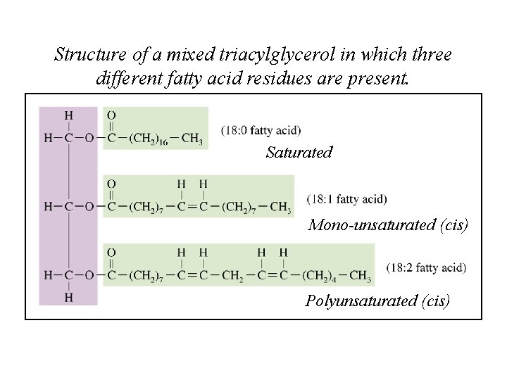 Structure of a mixed triacylglycerol in which three different fatty acid residues are present.