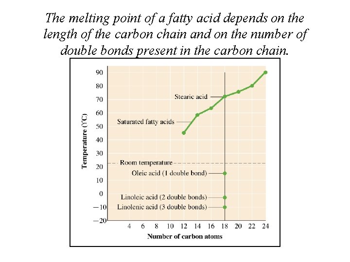 The melting point of a fatty acid depends on the length of the carbon