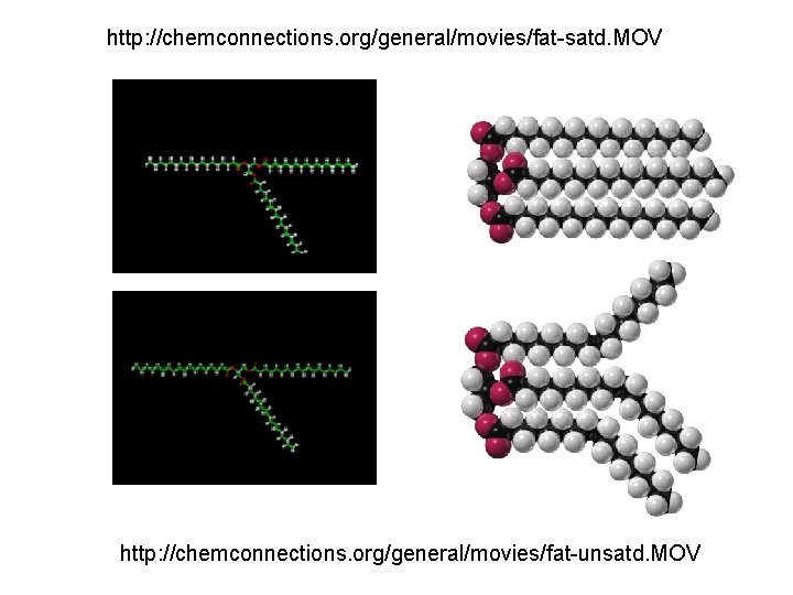 http: //chemconnections. org/general/movies/fat-satd. MOV http: //chemconnections. org/general/movies/fat-unsatd. MOV 