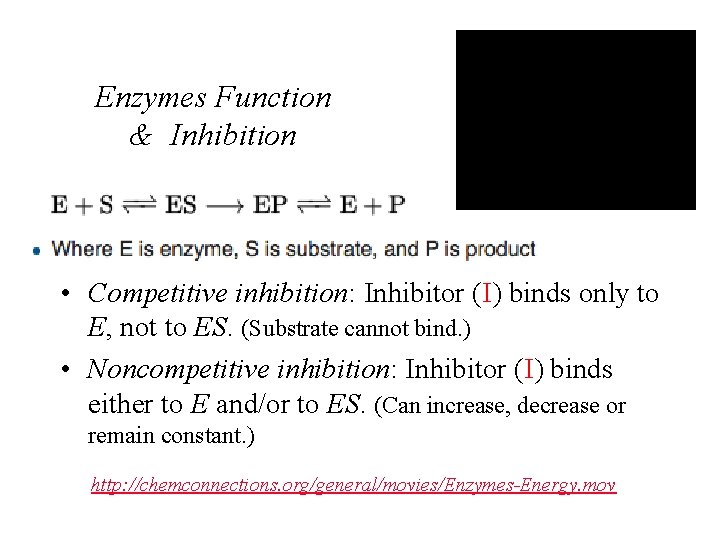 Enzymes Function & Inhibition • Competitive inhibition: Inhibitor (I) binds only to E, not
