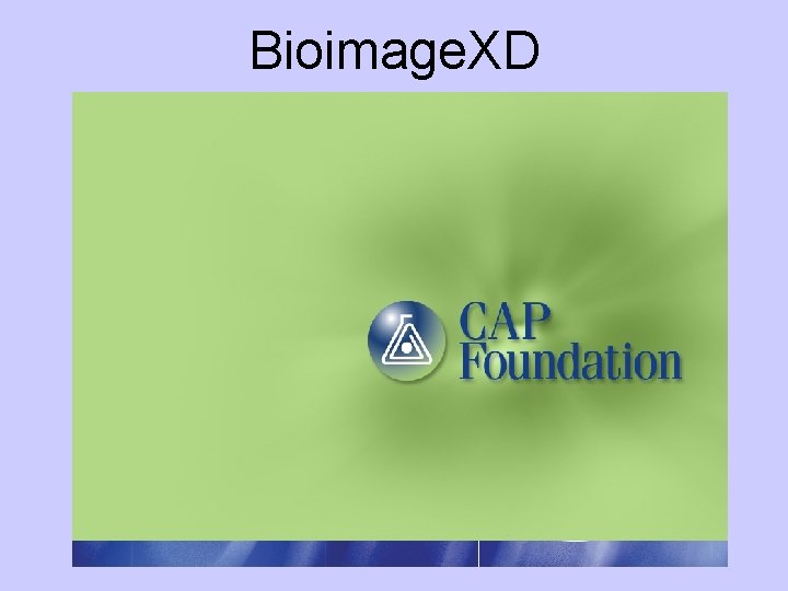 Bioimage. XD 