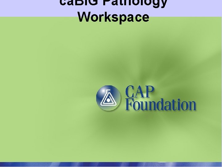 ca. BIG Pathology Workspace 