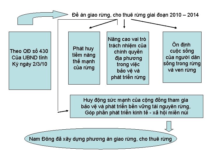 Đề án giao rừng, cho thuê rừng giai đoạn 2010 – 2014 Theo QĐ