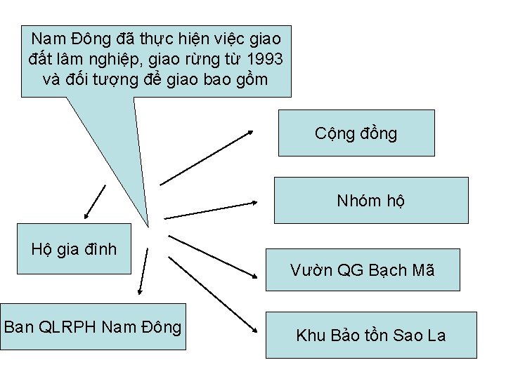Nam Đông đã thực hiện việc giao đất lâm nghiệp, giao rừng từ 1993