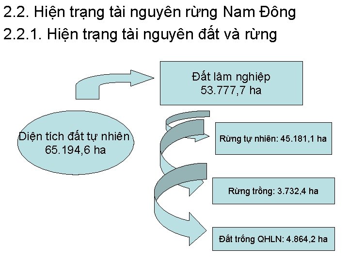 2. 2. Hiện trạng tài nguyên rừng Nam Đông 2. 2. 1. Hiện trạng