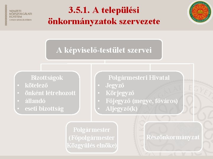 3. 5. 1. A települési önkormányzatok szervezete A képviselő-testület szervei • • Bizottságok kötelező