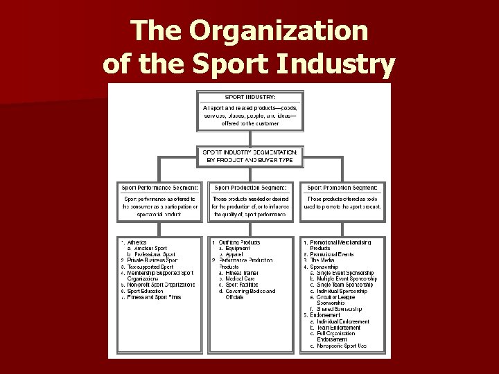 The Organization of the Sport Industry 