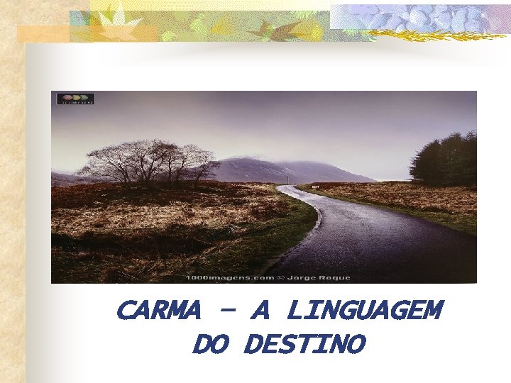 CARMA – A LINGUAGEM DO DESTINO 