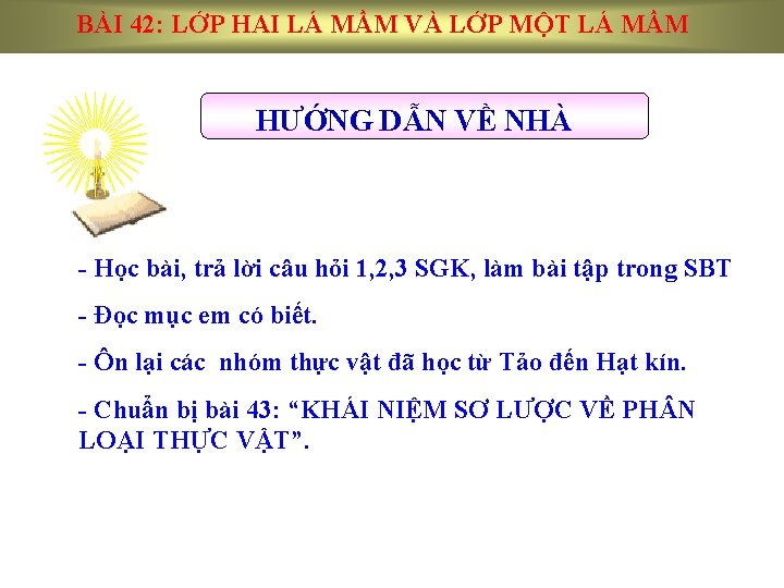 BÀI 42: LỚP HAI LÁ MẦM VÀ LỚP MỘT LÁ MẦM HƯỚNG DẪN VỀ