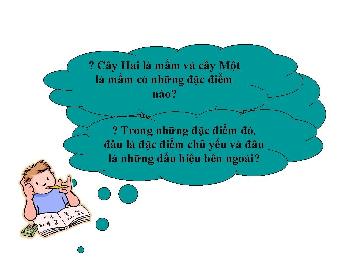 ? Cây Hai lá mầm và cây Một lá ? mầm có những điểm