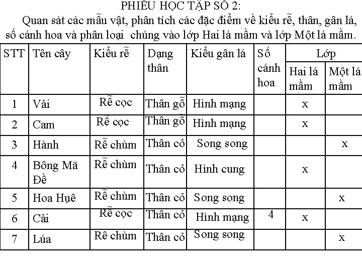 PHIẾU HỌC TẬP SỐ 2: Quan sát các mẫu vật, phân tích các đặc