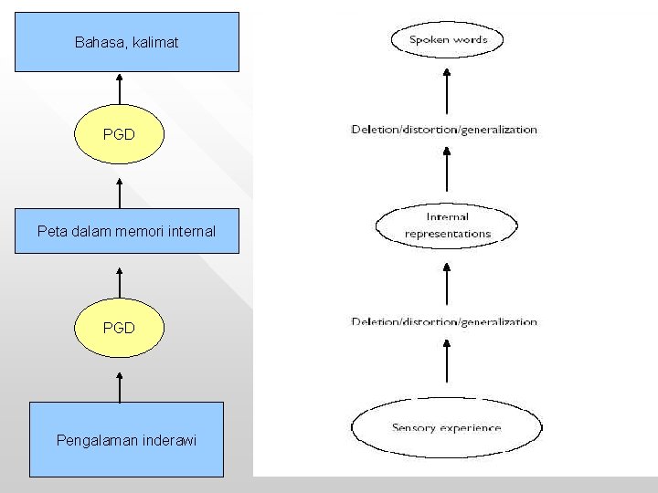 Bahasa, kalimat PGD Peta dalam memori internal PGD Pengalaman inderawi 