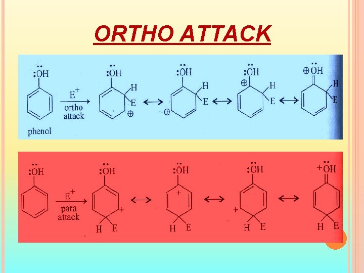 ORTHO ATTACK 