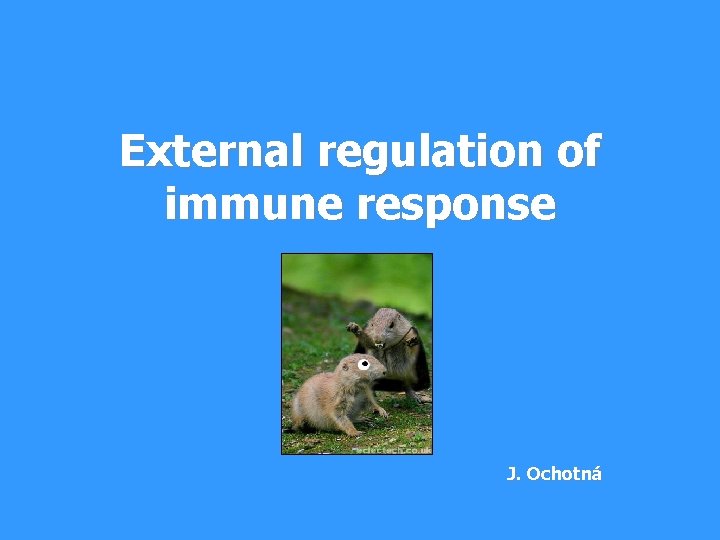External regulation of immune response J. Ochotná 