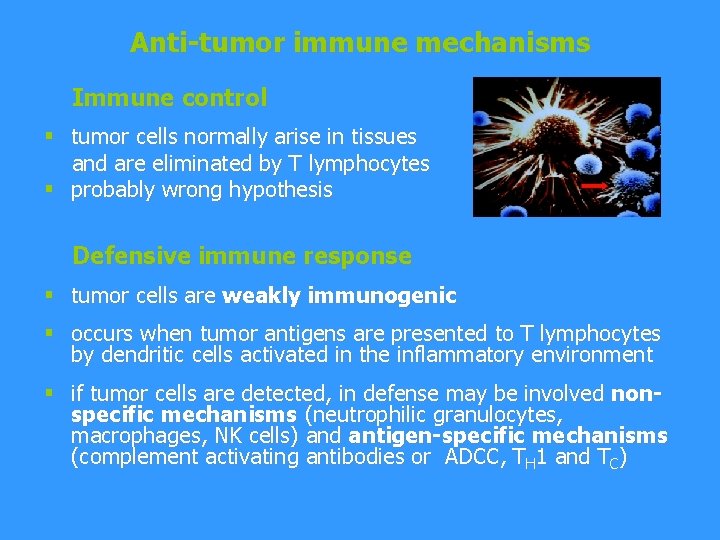 Anti-tumor immune mechanisms Immune control § tumor cells normally arise in tissues and are