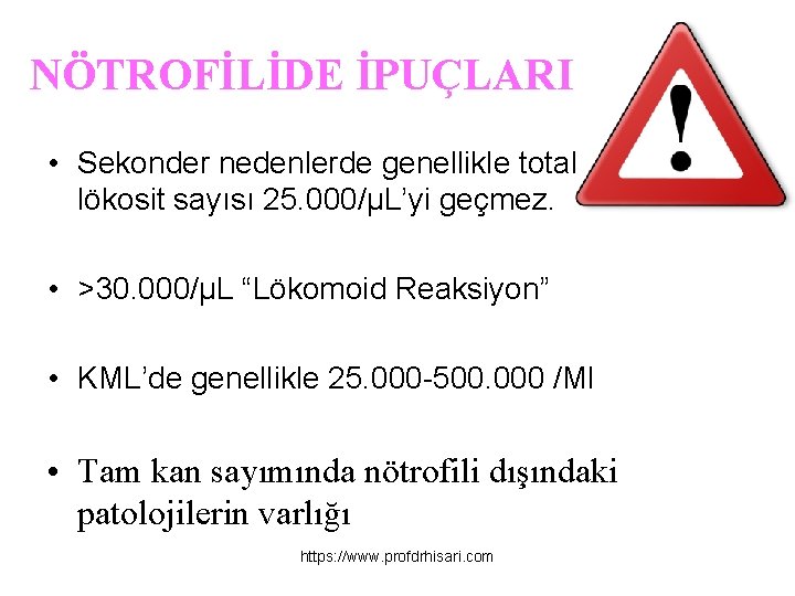 NÖTROFİLİDE İPUÇLARI • Sekonder nedenlerde genellikle total lökosit sayısı 25. 000/μL’yi geçmez. • >30.