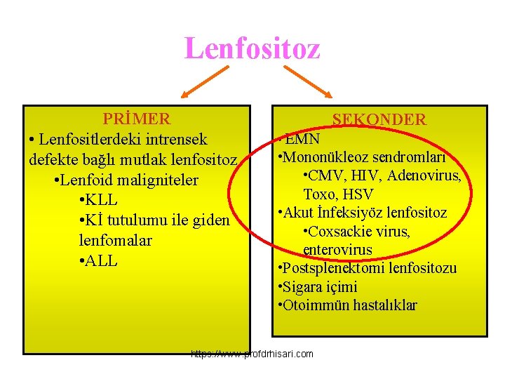 Lenfositoz PRİMER • Lenfositlerdeki intrensek defekte bağlı mutlak lenfositoz • Lenfoid maligniteler • KLL