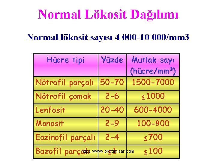 Normal Lökosit Dağılımı Normal lökosit sayısı 4 000 -10 000/mm 3 Hücre tipi Yüzde