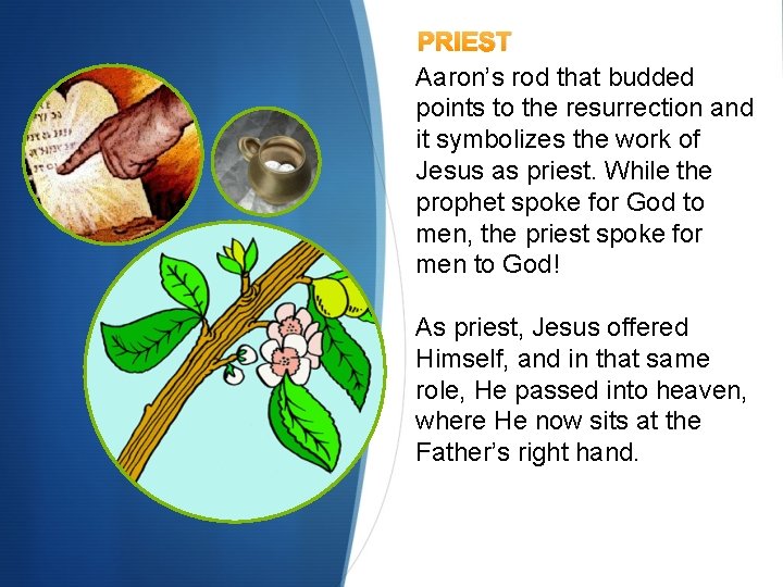 PRIEST Aaron’s rod that budded points to the resurrection and it symbolizes the work PRIEST Aaron’s rod that budded points to the resurrection and it symbolizes the work