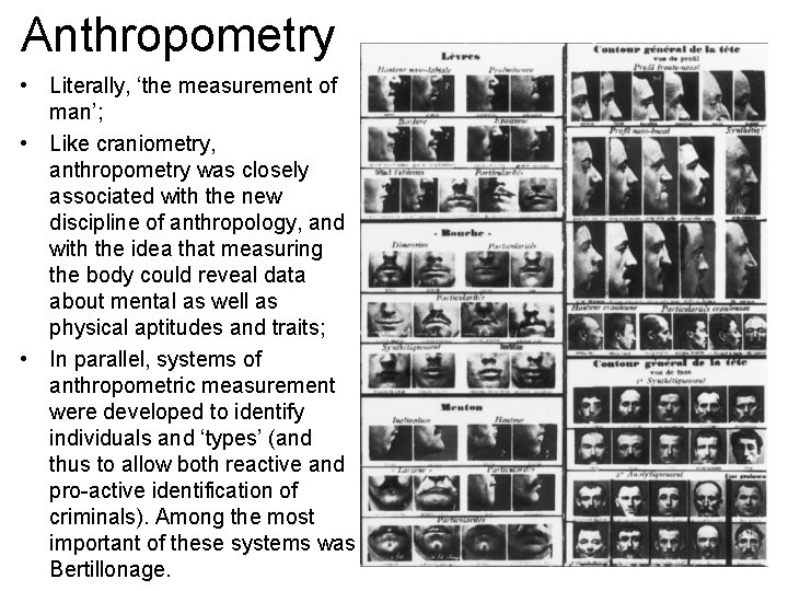 Anthropometry • Literally, ‘the measurement of man’; • Like craniometry, anthropometry was closely associated