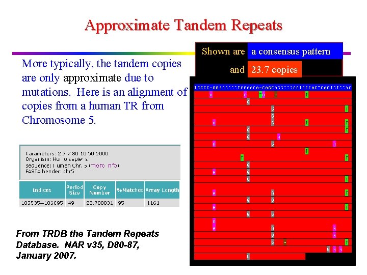 Approximate Tandem Repeats More typically, the tandem copies are only approximate due to mutations.