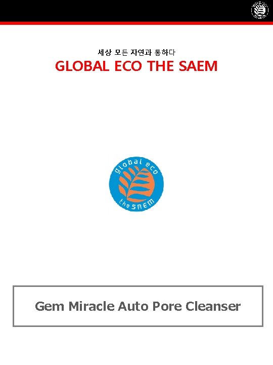 세상 모든 자연과 통하다 GLOBAL ECO THE SAEM Gem Miracle Auto Pore Cleanser 