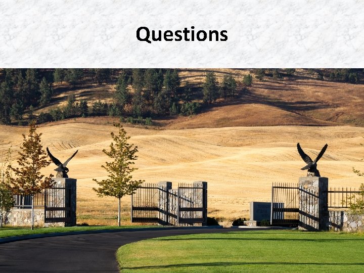 Questions Questions