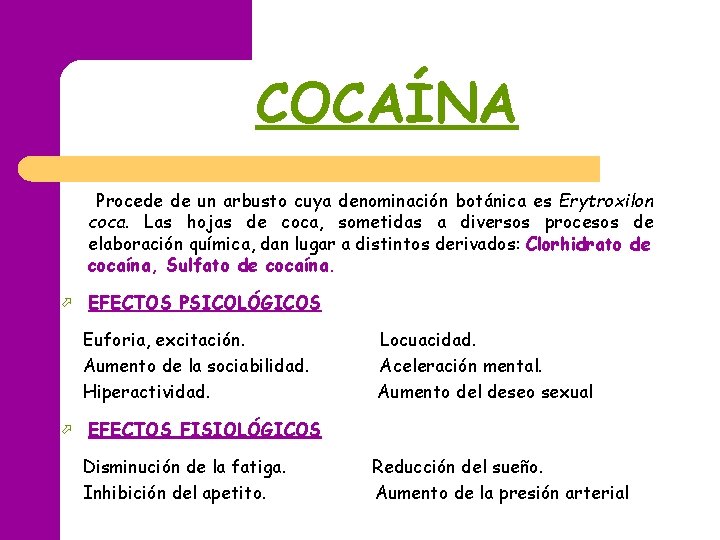 COCAÍNA Procede de un arbusto cuya denominación botánica es Erytroxilon coca. Las hojas de COCAÍNA Procede de un arbusto cuya denominación botánica es Erytroxilon coca. Las hojas de