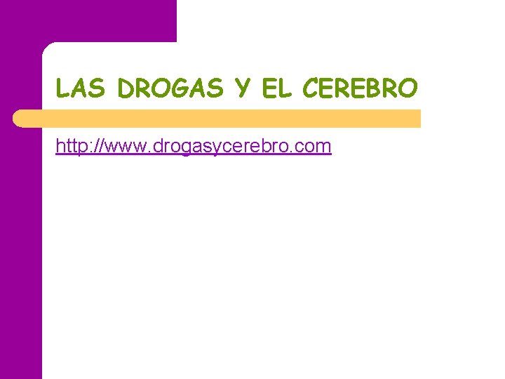 LAS DROGAS Y EL CEREBRO http: //www. drogasycerebro. com LAS DROGAS Y EL CEREBRO http: //www. drogasycerebro. com