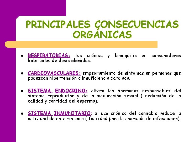 PRINCIPALES CONSECUENCIAS ORGÁNICAS l l RESPIRATORIAS: tos crónica habituales de dosis elevadas. y bronquitis PRINCIPALES CONSECUENCIAS ORGÁNICAS l l RESPIRATORIAS: tos crónica habituales de dosis elevadas. y bronquitis