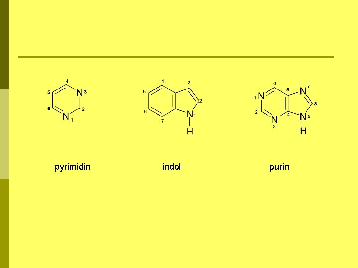 pyrimidin indol purin 