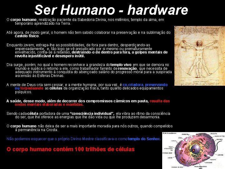 Ser Humano - hardware O corpo humano, realização paciente da Sabedoria Divina, nos milênios,