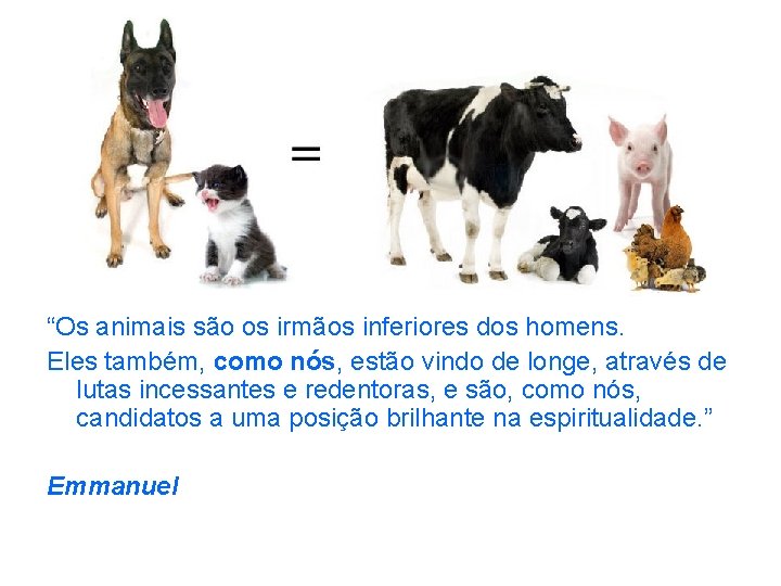 “Os animais são os irmãos inferiores dos homens. Eles também, como nós, estão vindo