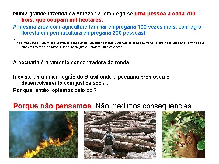 Numa grande fazenda da Amazônia, emprega-se uma pessoa a cada 700 bois, que ocupam