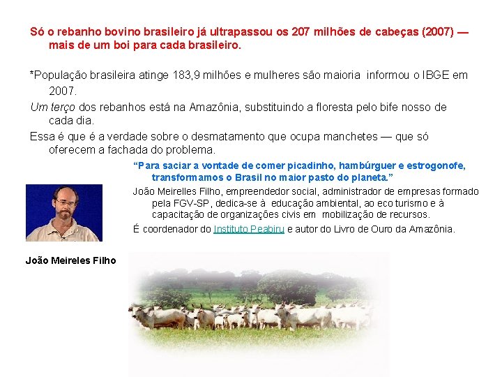 Só o rebanho bovino brasileiro já ultrapassou os 207 milhões de cabeças (2007) —