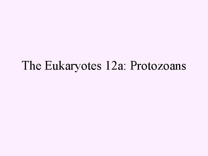 The Eukaryotes 12 a: Protozoans 